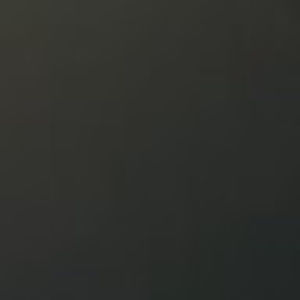 Meet your Posher, Delilah